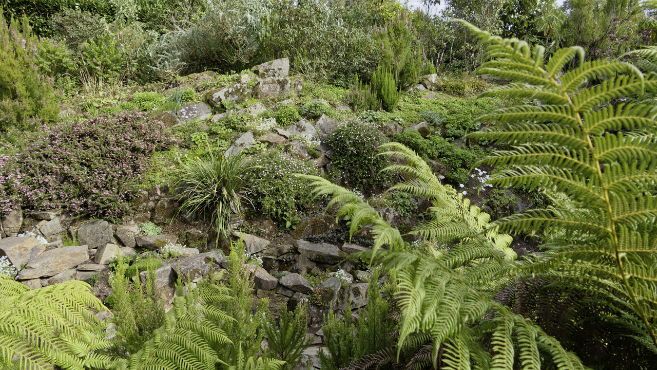 20261006-131610•Lost Gardens of Heligan•Mevagissey•England•UK